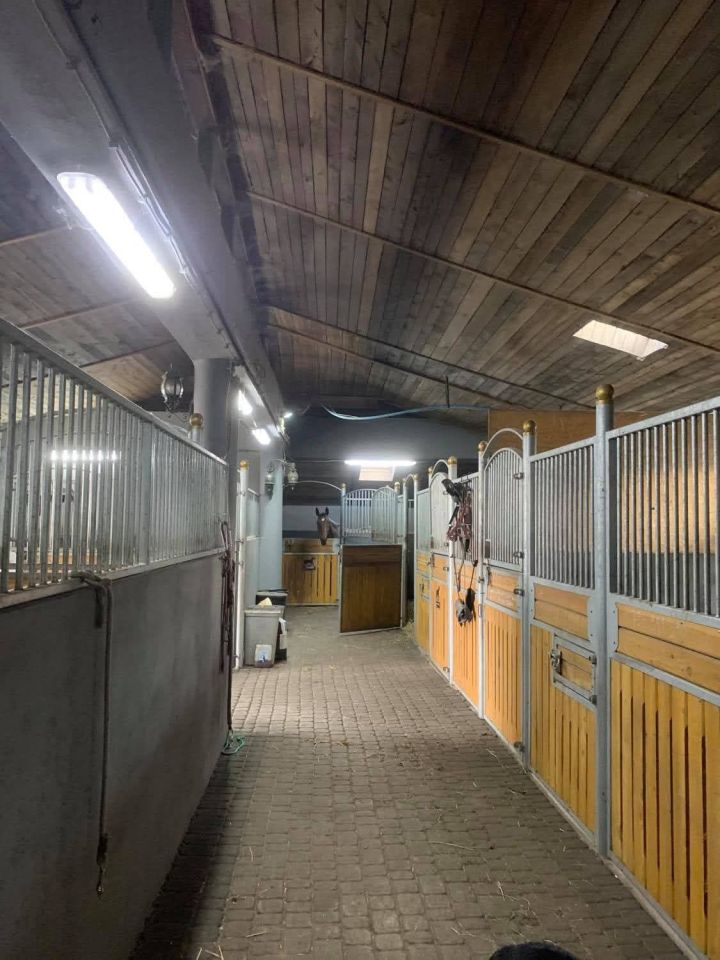 gospodarstwo Kębliny. Zdjęcie 5