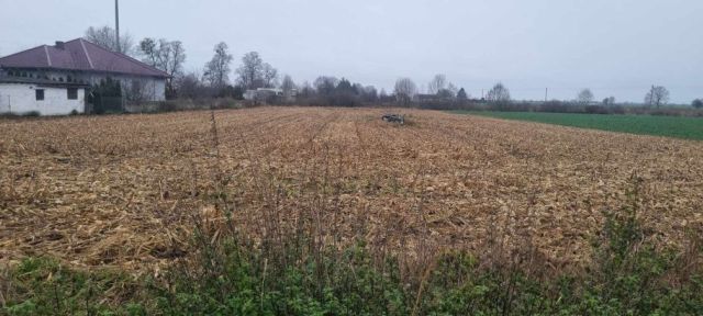 Działka rolno-budowlana Pęckowo. Zdjęcie 1