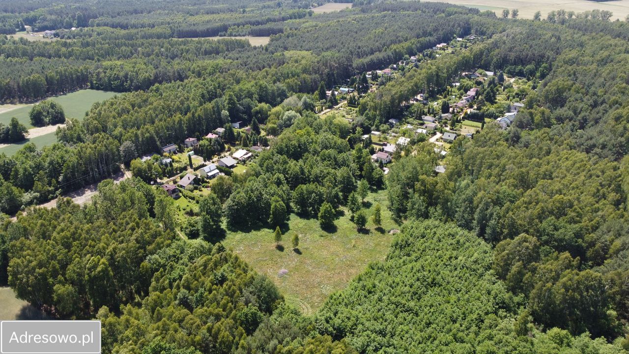 Działka budowlana Chojne. Zdjęcie 14