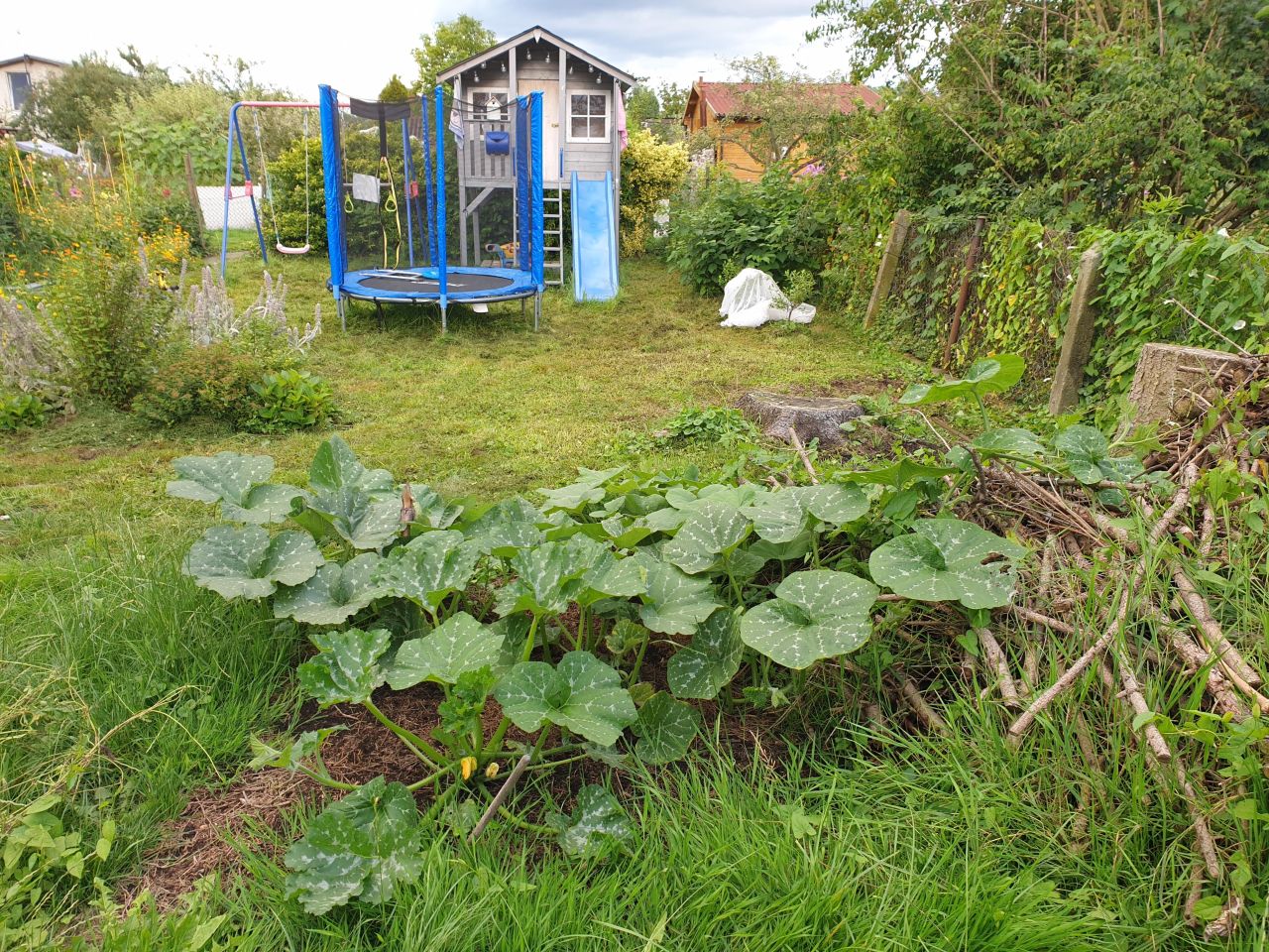 Działka rod Szczecin Śródmieście, ul. Marynarska. Zdjęcie 20