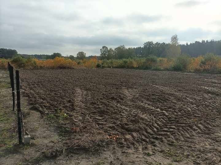 Działka budowlana Smerzyn. Zdjęcie 1