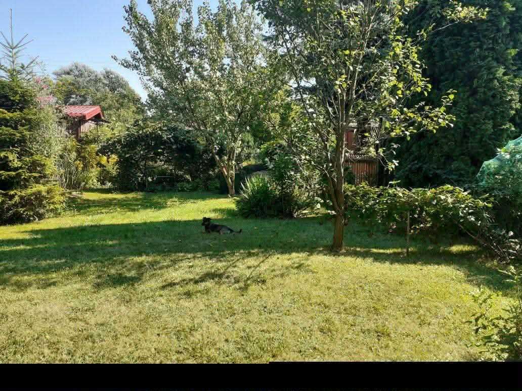 Działka rod Ząbki. Zdjęcie 1