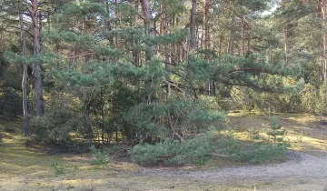Działka na sprzedaż bez pośredników          
          
            ul. Urocza          
          
            Osiek nad Wisłą - Więcej