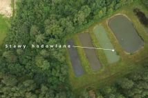 dom wolnostojący, 6 pokoi Miszewo, ul. Tokarska. Zdjęcie 4