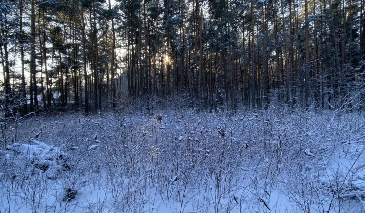 Działka budowlana Emów, ul. Sosnowa