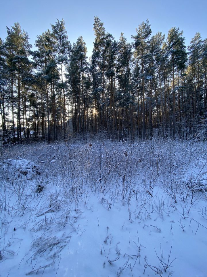 Działka budowlana Emów, ul. Sosnowa