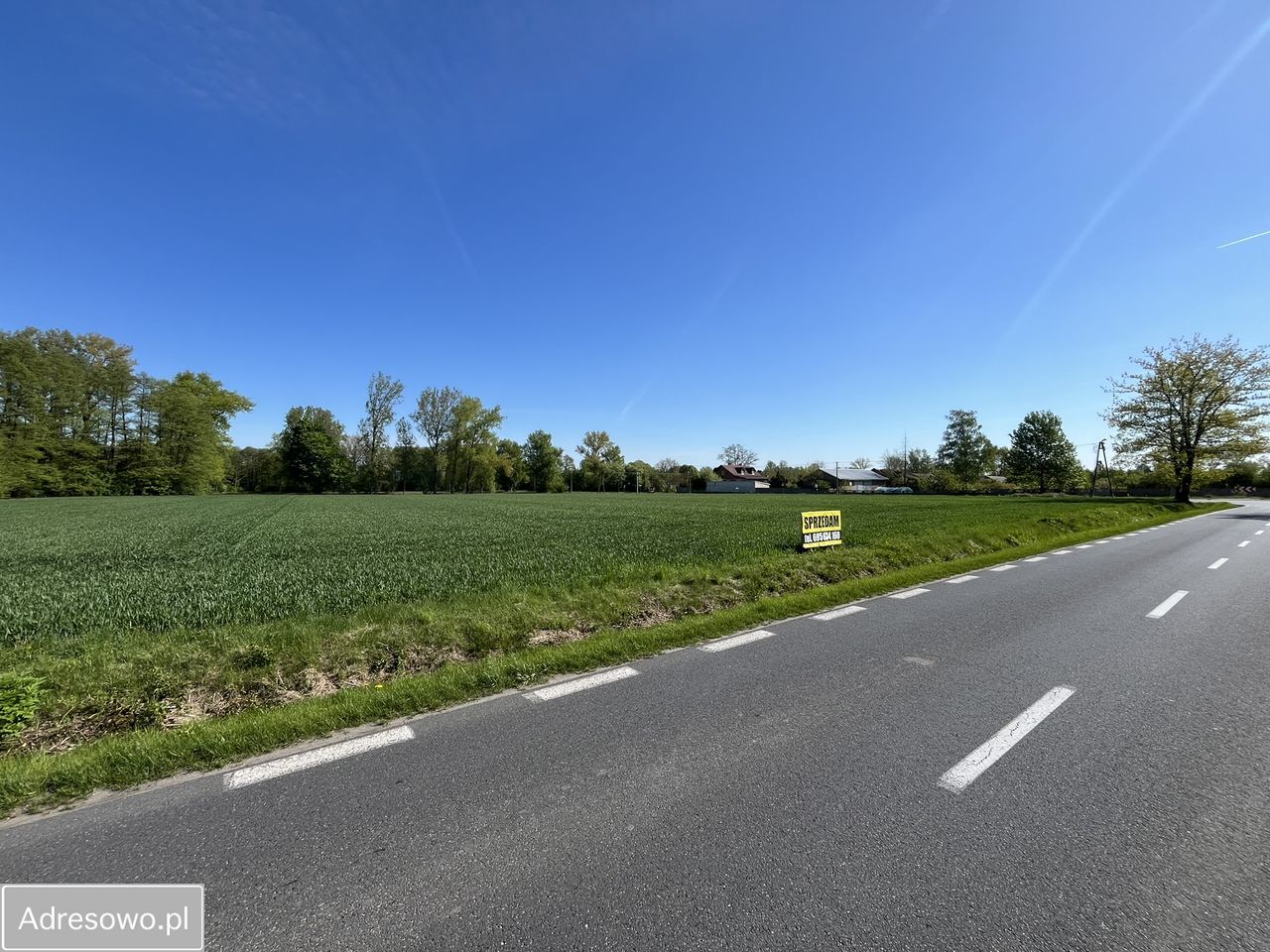 Działka inwestycyjna Trzcianna. Zdjęcie 4