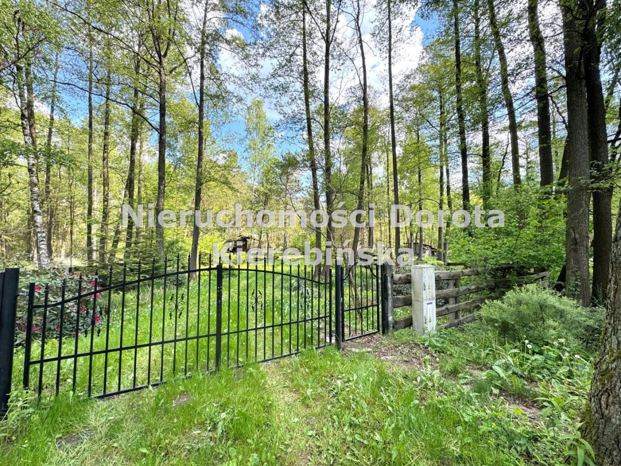Działka inwestycyjna Bukowiec nad Pilicą. Zdjęcie 16