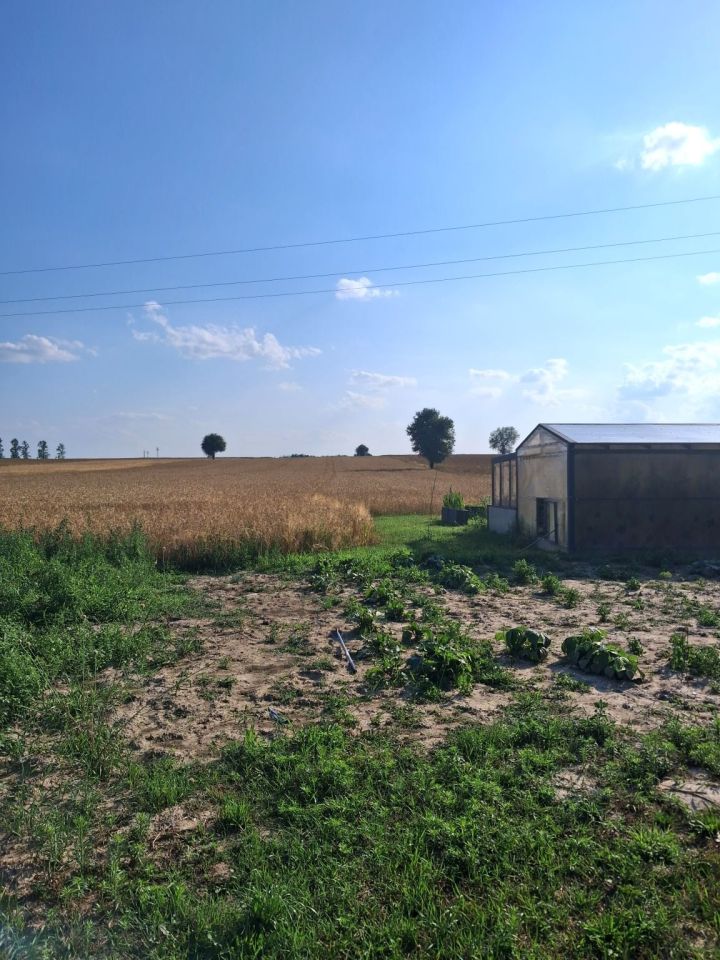 dom wolnostojący, 3 pokoje Skrzynice Drugie. Zdjęcie 5