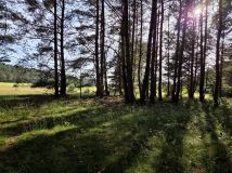 Działka rolna Szczecin Wielgowo. Zdjęcie 1