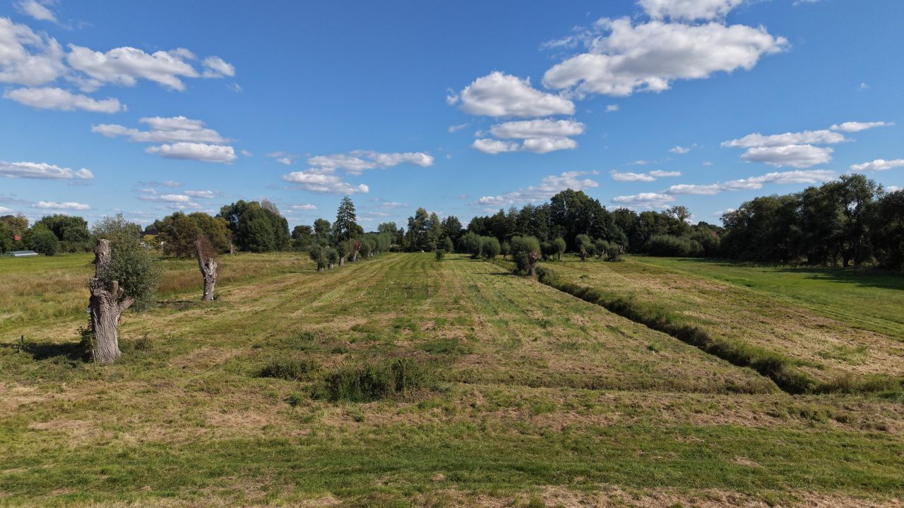 Działka rolno-budowlana Kunowo. Zdjęcie 10