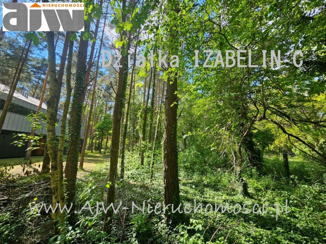 Działka budowlana Izabelin C. Zdjęcie 3