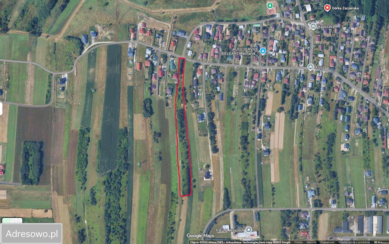 Działka rolna Zaczernie Górka Zaczerska. Zdjęcie 2