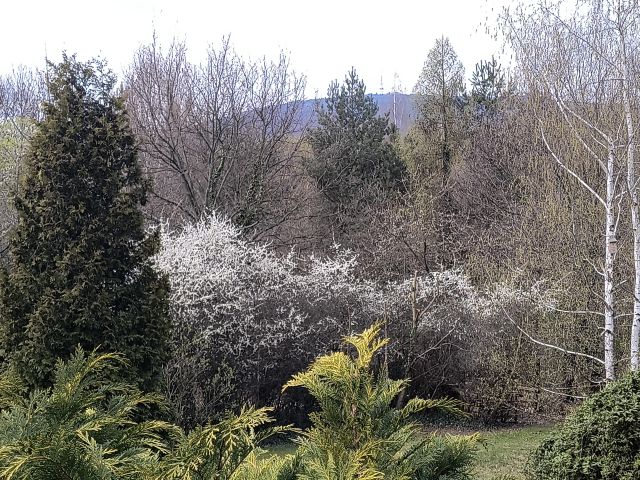 dom wolnostojący, 5 pokoi Sulistrowice. Zdjęcie 4