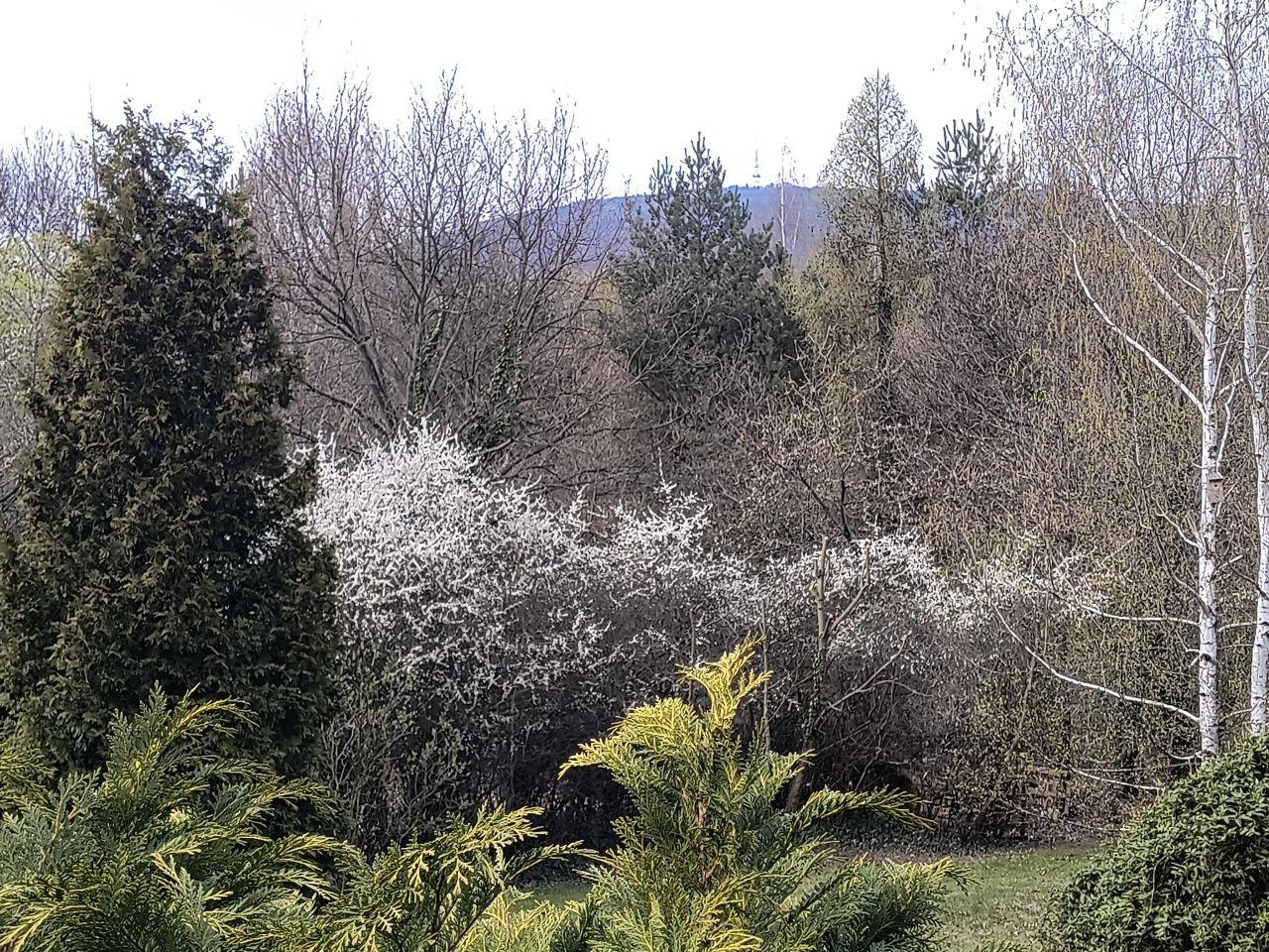 dom wolnostojący, 5 pokoi Sulistrowice. Zdjęcie 4