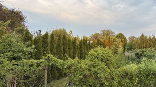 Działka rod Zamość, ul. Altanowa. Zdjęcie 1