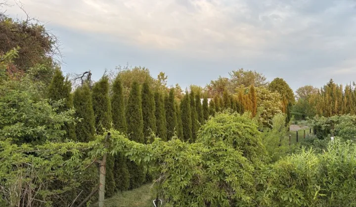Działka rod Zamość, ul. Altanowa