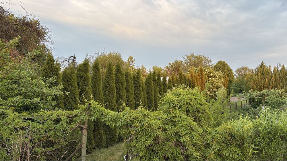 Działka rod Zamość, ul. Altanowa. Zdjęcie 1