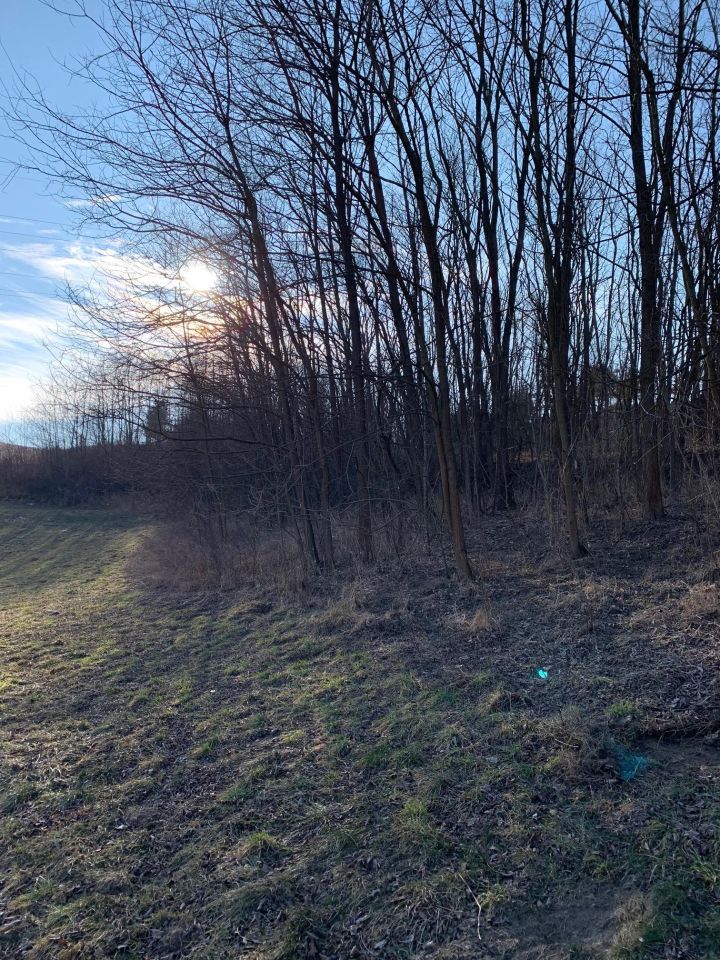 gospodarstwo, 3 pokoje Doły Biskupie Doły Opacie. Zdjęcie 8