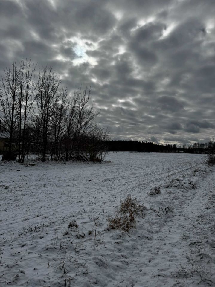 Działka rolno-budowlana Sieczka. Zdjęcie 4