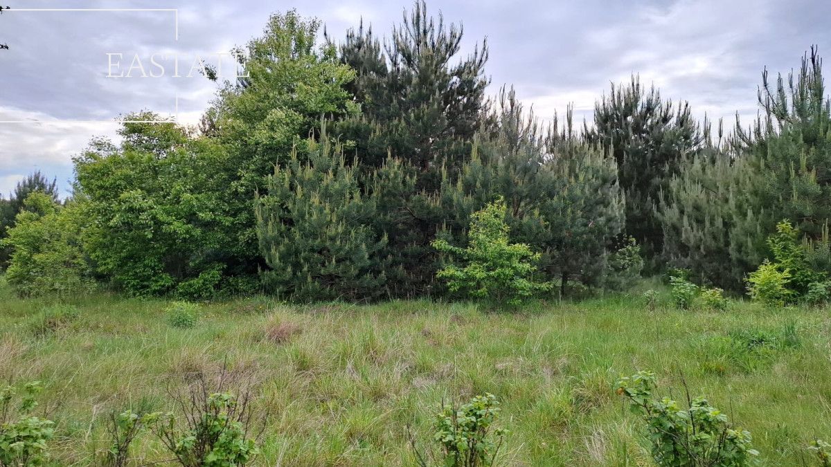 Działka inwestycyjna Myrcha. Zdjęcie 3