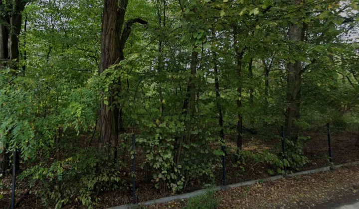 Działka leśna Milanówek, ul. Łąkowa