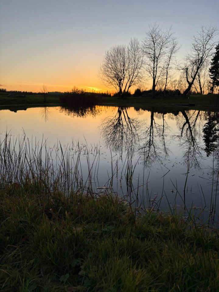 Działka siedliskowa Iwaniszki. Zdjęcie 3