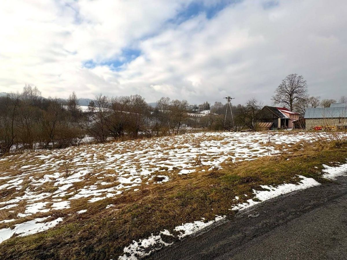 Działka budowlana Paszowa. Zdjęcie 4