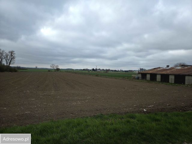 Działka rolno-budowlana Rolantowice. Zdjęcie 1