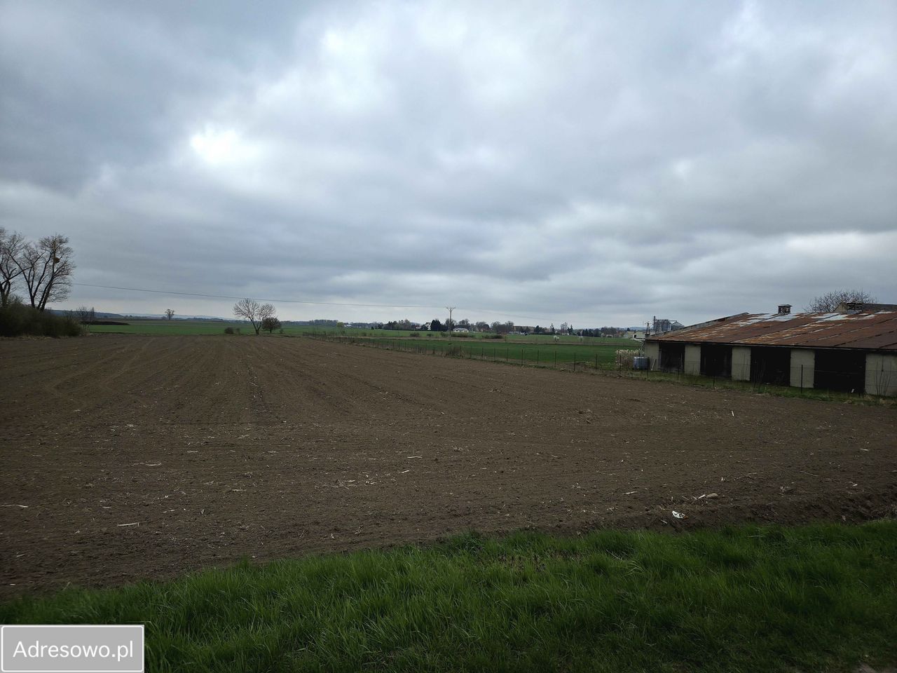 Działka rolno-budowlana Rolantowice. Zdjęcie 1