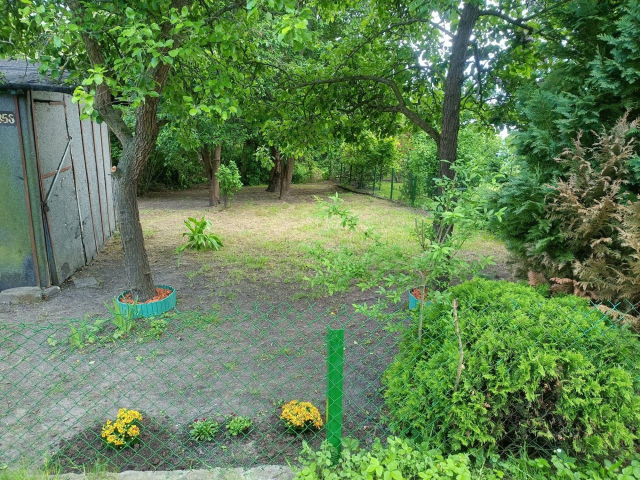 Działka rod Płock, ul. Szpitalna. Zdjęcie 2