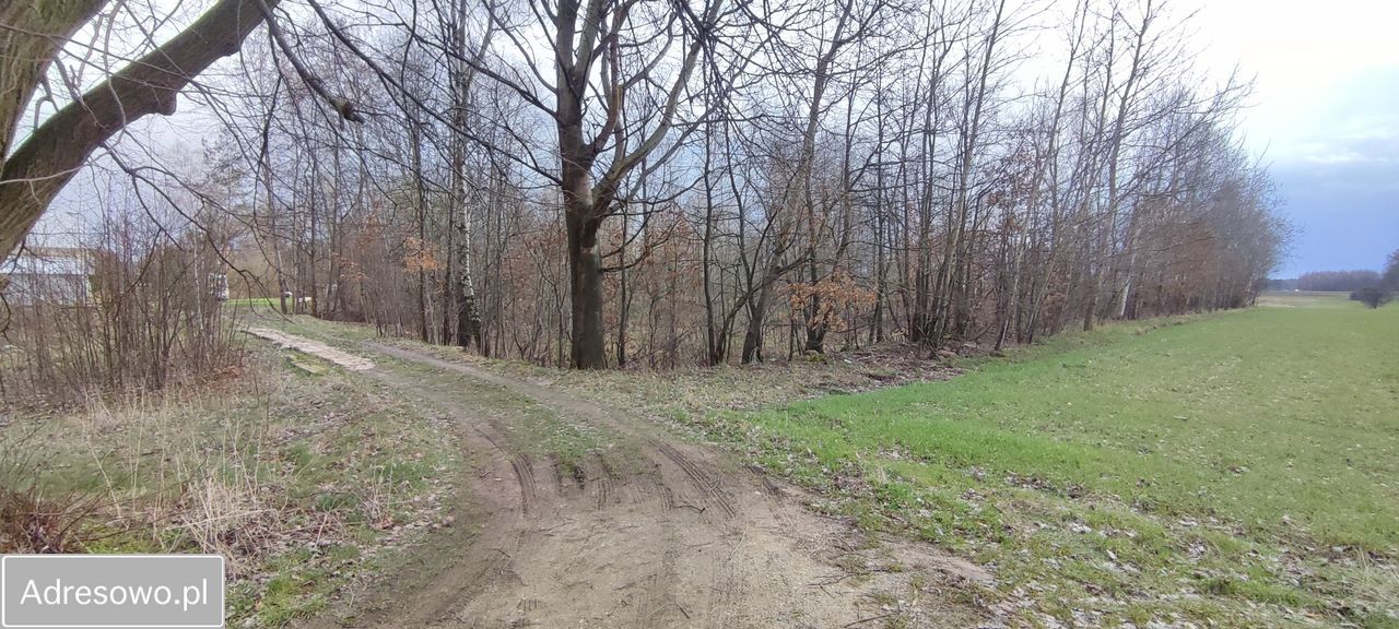 Działka budowlana Łukawka. Zdjęcie 14