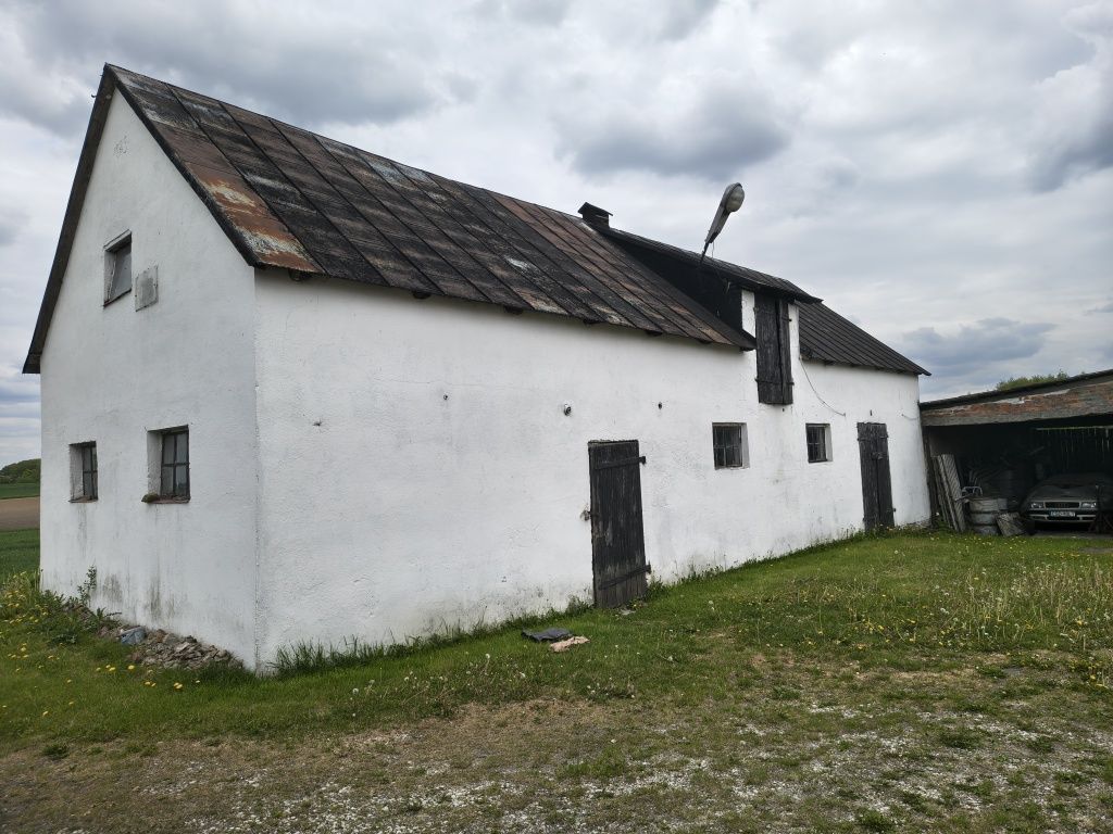 siedlisko Szychowo. Zdjęcie 6