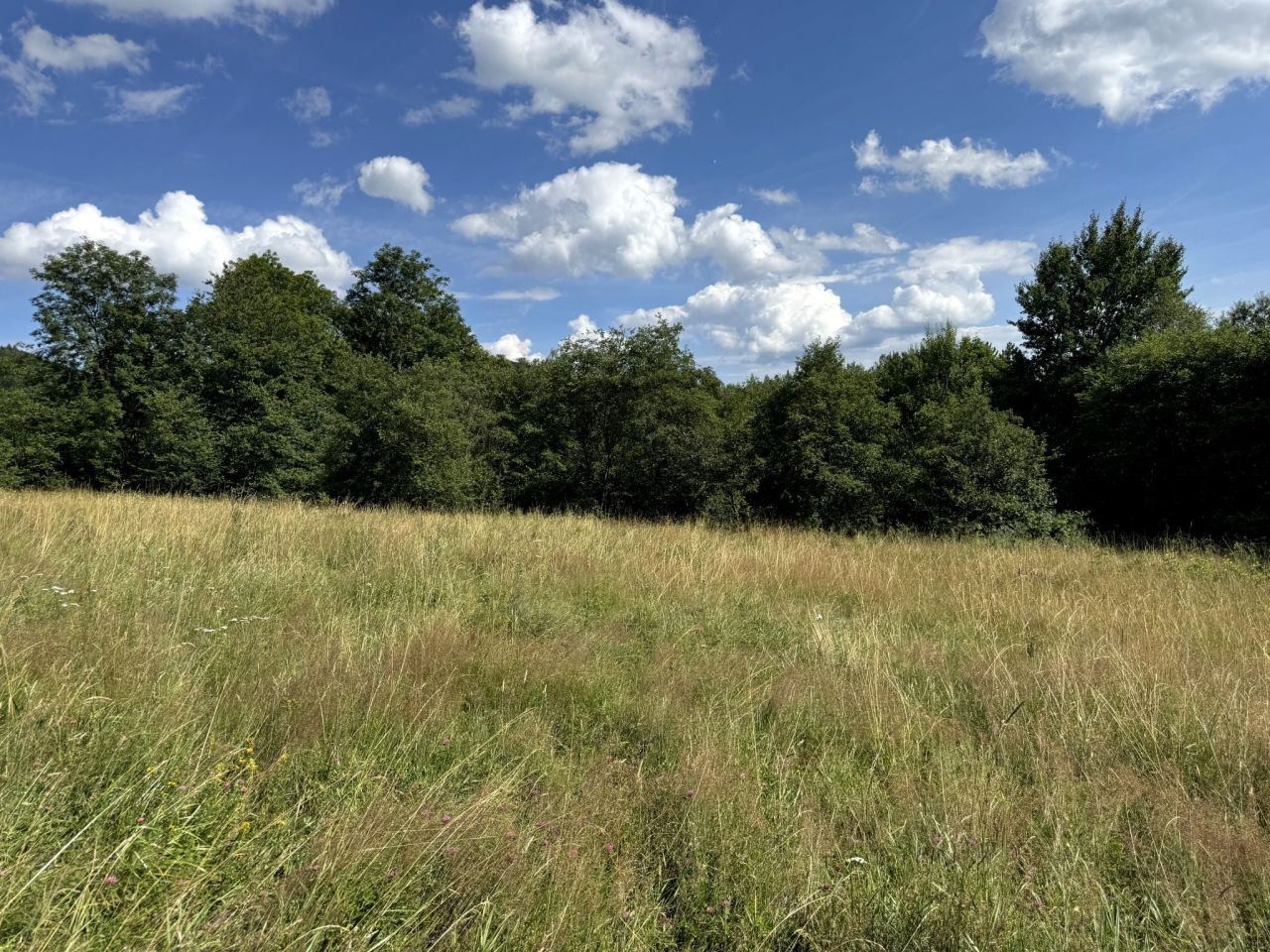 Działka inwestycyjna Wysowa-Zdrój. Zdjęcie 5