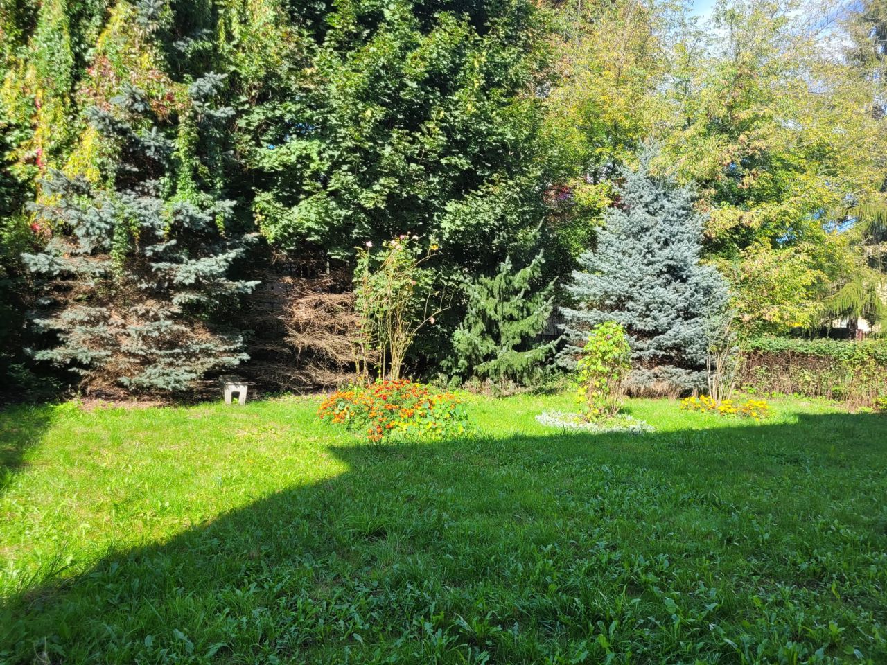 Mieszkanie 3-pokojowe Chorzów Centrum, ul. Przyjemna. Zdjęcie 13