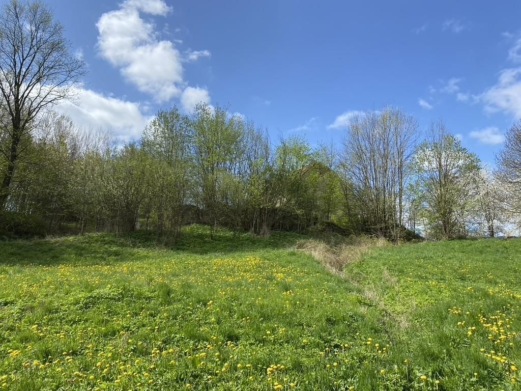 gospodarstwo, 9 pokoi Dobków, Dobków. Zdjęcie 12