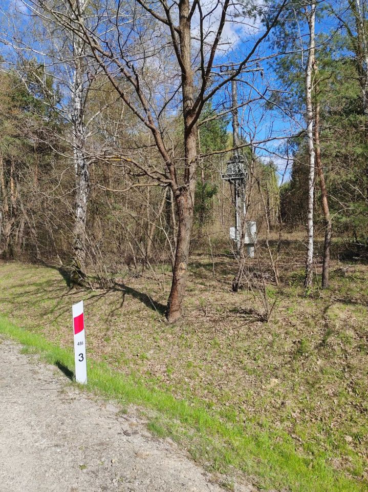 Działka leśna Mniszek. Zdjęcie 2