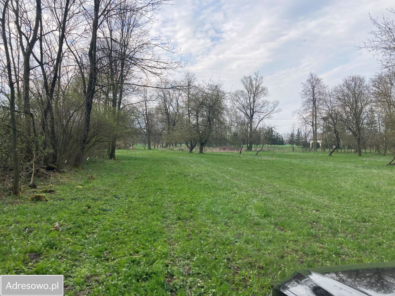 Działka siedliskowa Olszewo-Grzymki. Zdjęcie 1