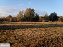 Działka budowlana Tarczyn, ul. Wąska. Zdjęcie 3