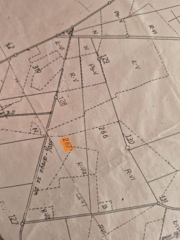 Działka rolna Osiny. Zdjęcie 1