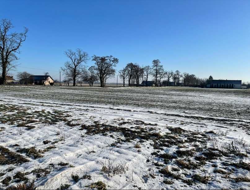 Działka rolna Łówkowice. Zdjęcie 5