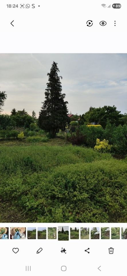 Działka rod Białystok Sienkiewicza. Zdjęcie 5