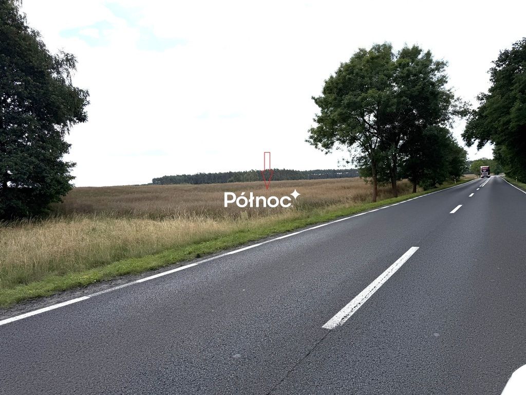 Działka inwestycyjna Dąbrowa Bolesławiecka. Zdjęcie 4