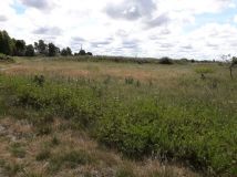 Działka rolno-budowlana Ostromice. Zdjęcie 1