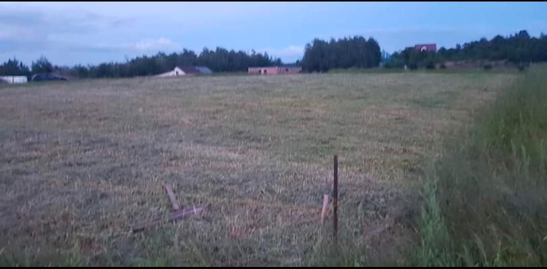 Działka budowlana Biały Kościół, ul. Czereśniowa. Zdjęcie 4