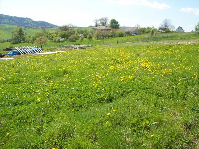 Działka budowlana Posadowa Mogilska. Zdjęcie 1