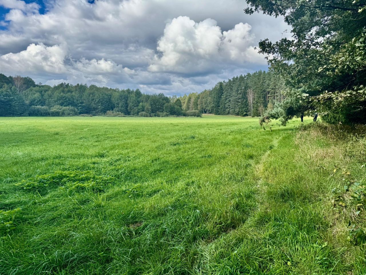 Działka rolna Nitki. Zdjęcie 3