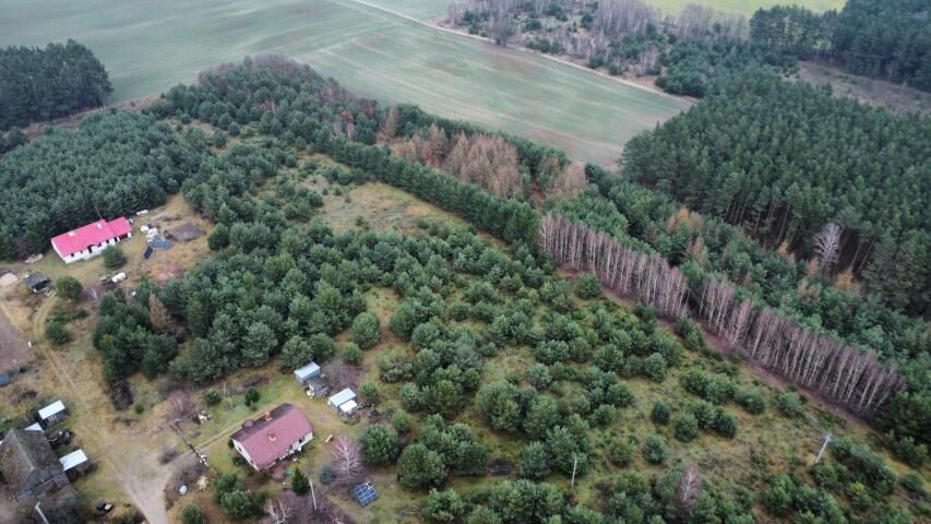 Działka budowlana Sucha. Zdjęcie 2