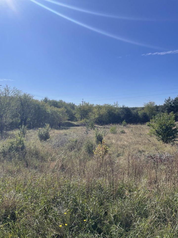 Działka budowlana Żagno. Zdjęcie 4