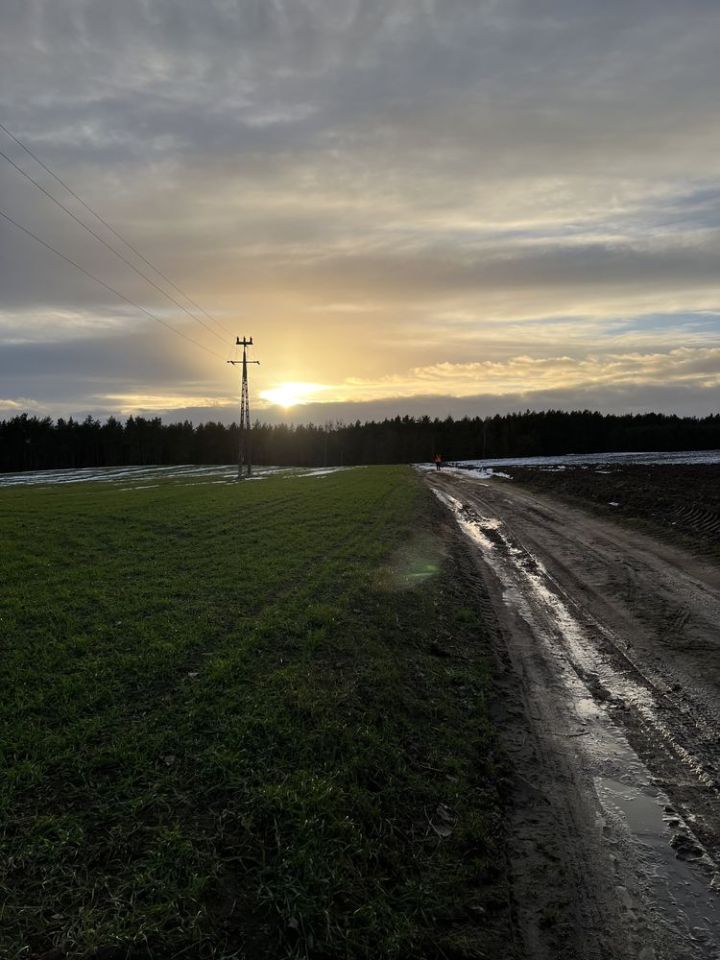 Działka rolno-budowlana Rajkowy. Zdjęcie 2
